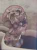 Abbildung des Objekts En la piscina