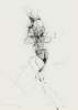 Image of Untitled