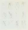 Image of Doce dibujos