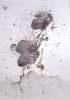 Image of Untitled
