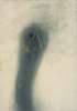Image of Mancha gris y garabato