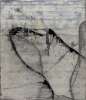 Image of Presencia negra