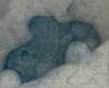 Image of Untitled