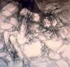 Image of Untitled