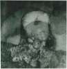 Image of Untitled