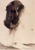 Image of Untitled