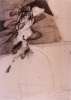 Image of Untitled