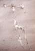 Image of Untitled