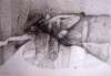 Image of Untitled