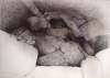 Image of Untitled