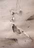 Image of Untitled