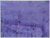 Image of Vibración violeta