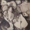 Image of Untitled