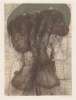 Image of Untitled
