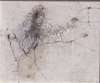 Image of Elemento mancha