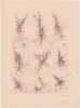 Image of Untitled