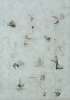 Image of Elementos en manera ornamental