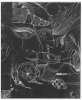 Image of Untitled