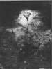 Image of Untitled