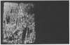 Image of Untitled