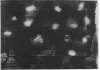 Image of Untitled