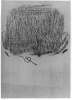 Image of Untitled