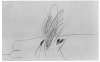 Image of Untitled