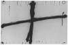 Image of Untitled