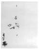 Image of Untitled