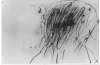 Image of Untitled