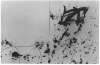 Image of Untitled