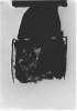 Image of Untitled