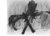 Image of Untitled