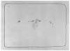 Image of Untitled