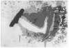 Image of Untitled