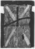 Image of Untitled