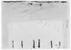 Image of Verticales en bas