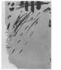 Image of Untitled