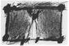 Image of Untitled