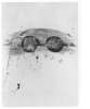 Image of Untitled