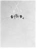 Image of Untitled