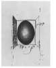 Image of Untitled