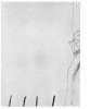 Image of Untitled