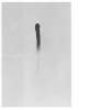 Image of Untitled