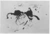 Image of Untitled