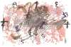 Image of Untitled