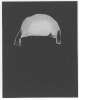 Image of Untitled