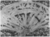 Image of Untitled