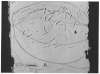 Image of Untitled