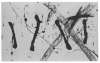Image of Untitled
